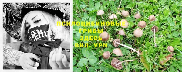 спайс Зерноград