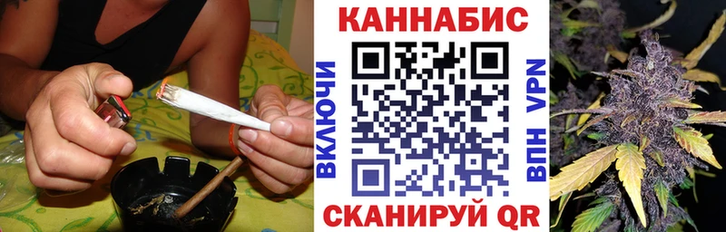 Купить где  Отрадный  Канабис ГИДРОПОН 